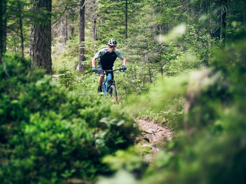 Der neue E-Bike-Antrieb von ZF ist mit seinen drehmomentstarken 90 Newtonmetern für den kraftvollen Antrieb von Mountainbikes, Trekkingrädern oder Urban Bikes entwickelt.
//
With its high-torque 90 Newton meters, the new e-bike drive from ZF has been developed for the powerful drive of mountain bikes, trekking bikes or urban bikes.